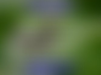 TASC of Southeast Ohio - 5/7/2025