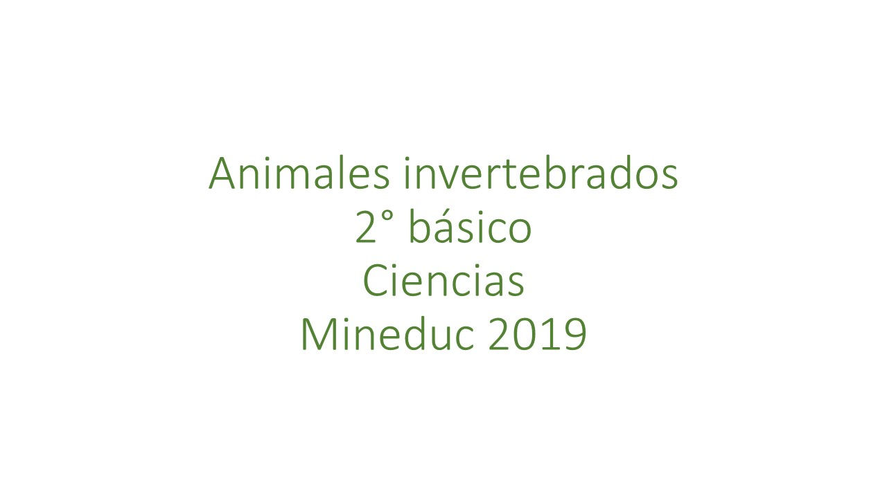 Animales invertebrados