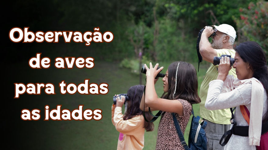 O que fazer em Gonçalves com crianças? Observe aves