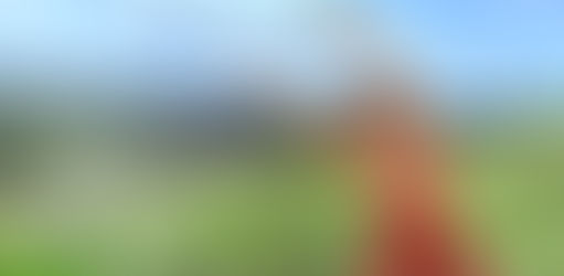 Online Pilates vs Studio Classes: 5 Powerful Reasons to Choose Pilates From Home!