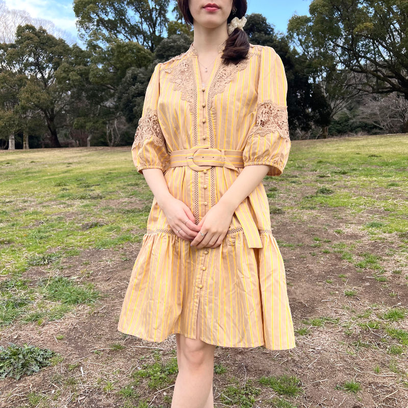 サムネイル： romantic lace stripe belted dress 
