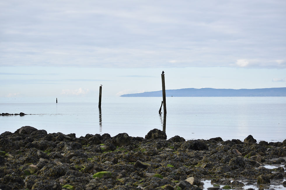 DSC_0748.jpeg