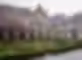 Formal garden within a historic gothic cloister