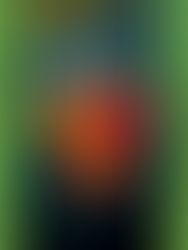 Des personnes de lumière, de clarté