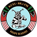 KUYI Logo