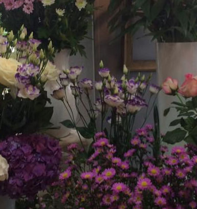 Miniature : Lisianthus