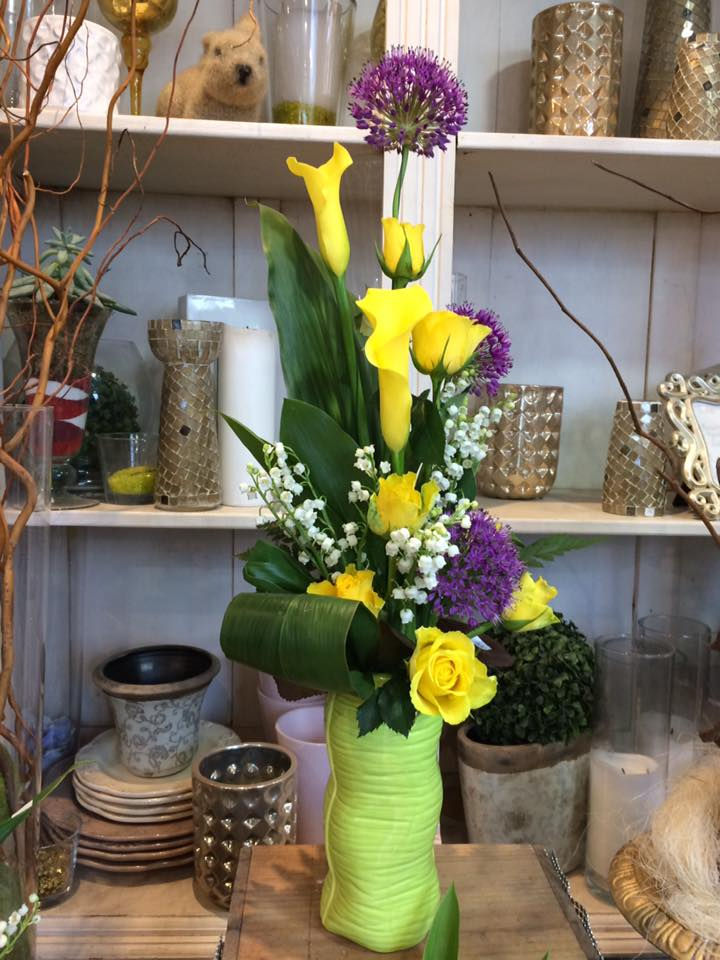 18194641_10211060778588079_6634766550559