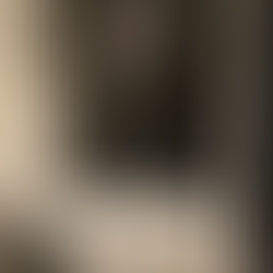 Appartement - 's-Gravenzande