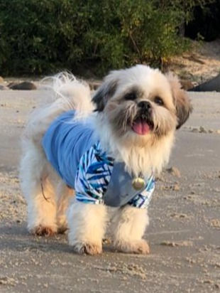 Malha TROPICAL AZUL - Proteção UV+50