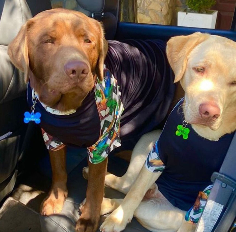 Malha ARARA - Proteção UV+50