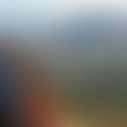 family looking at land