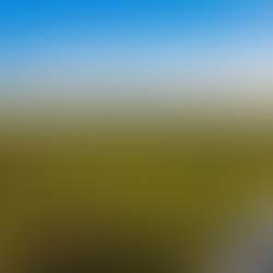 cinematic aerial drone shot of a beautiful landscape, representing owner-financed acreage in South Texas