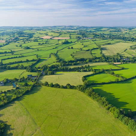 drone shot of land, representing rural land investment strategies