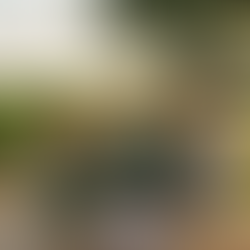 Agricultural Loan Servicing in the Rio Grande Valley: Cultivate Your Family’s Legacy