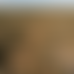 aerial photograph looking down upon a vast, rugged, and arid landscape, representing the value of land financing without a bank loan