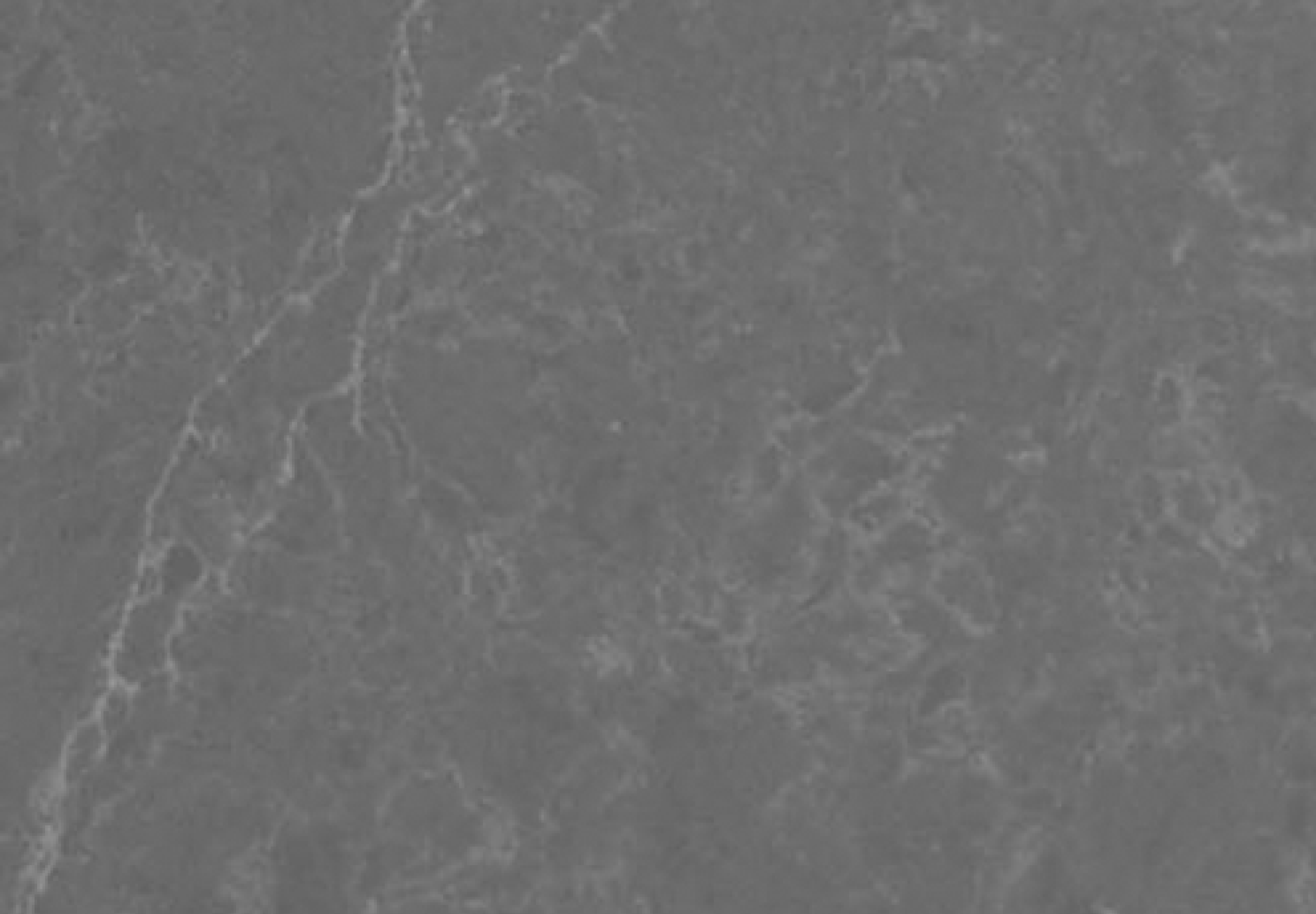 FANTASY GREY