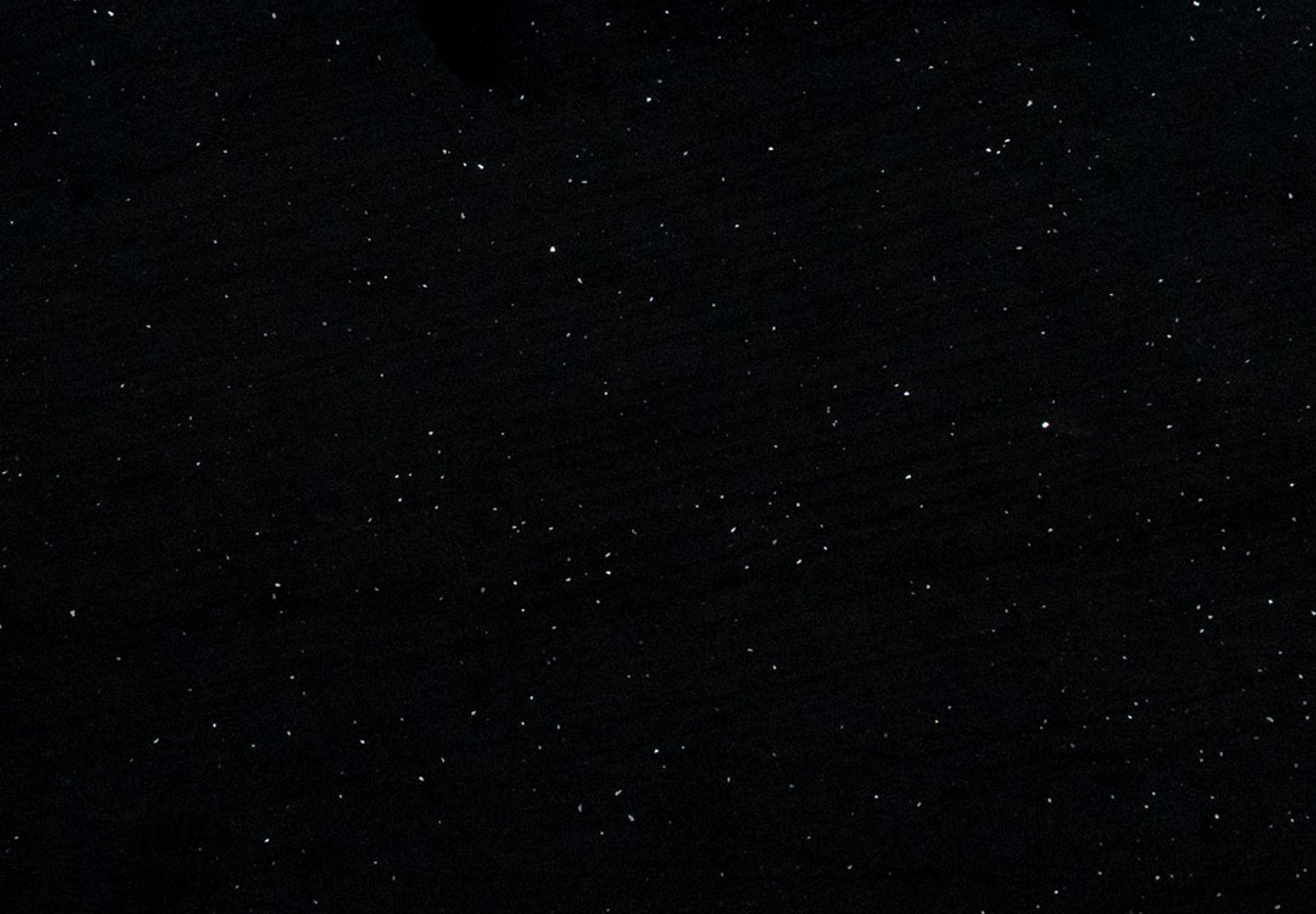 BRILLO NOIR