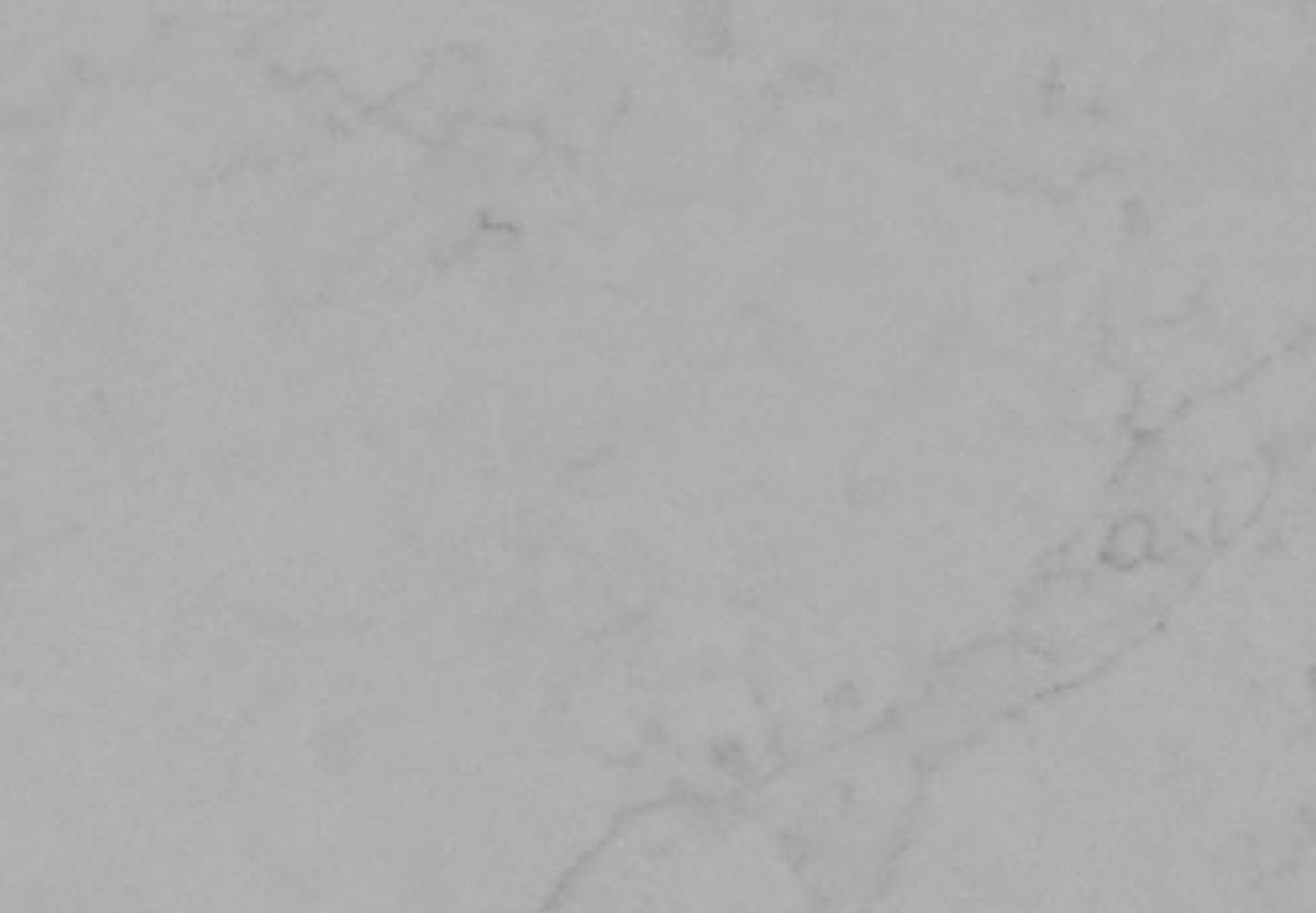 MYSTERIA WHITE