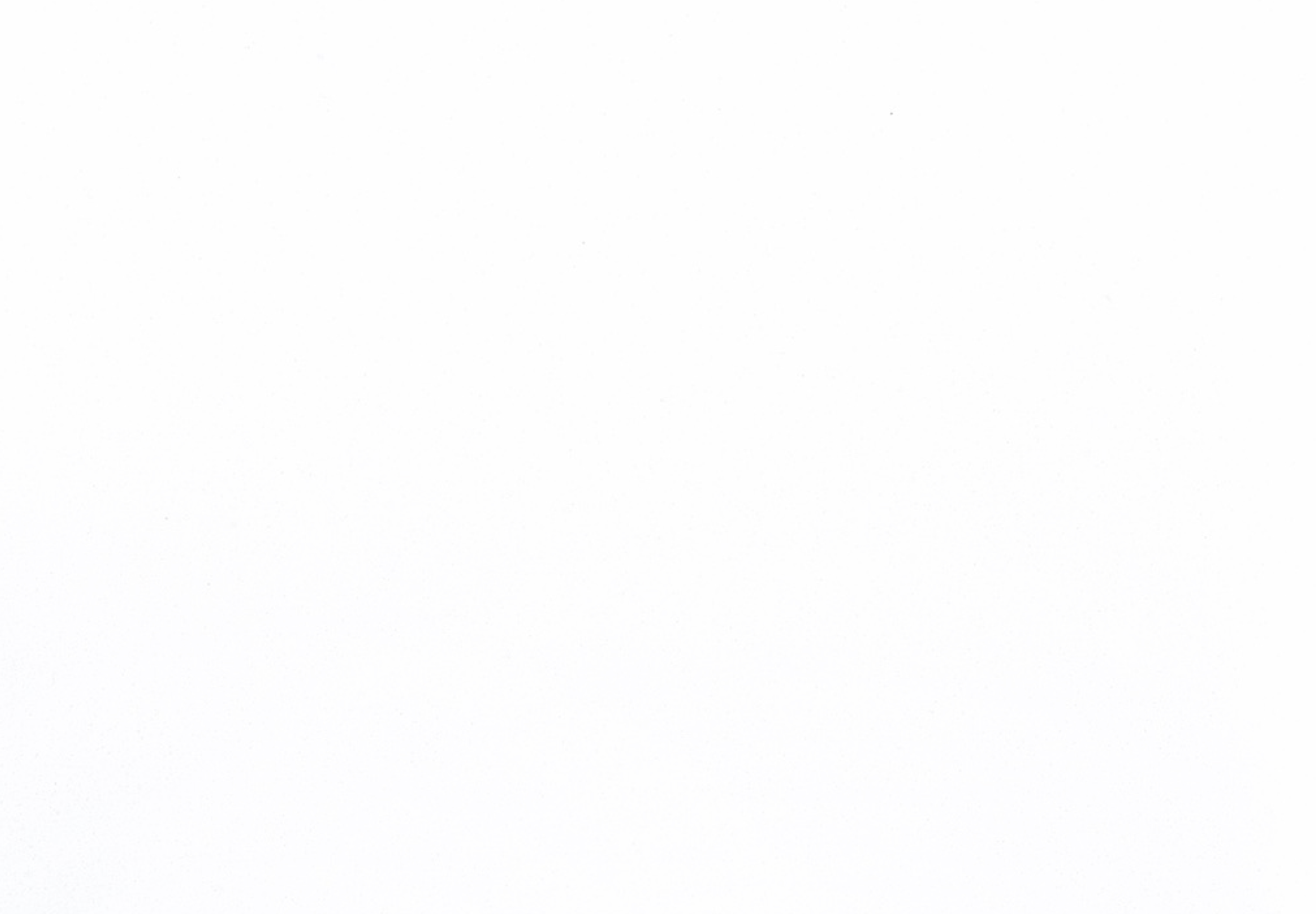 ABSOLUTE WHITE