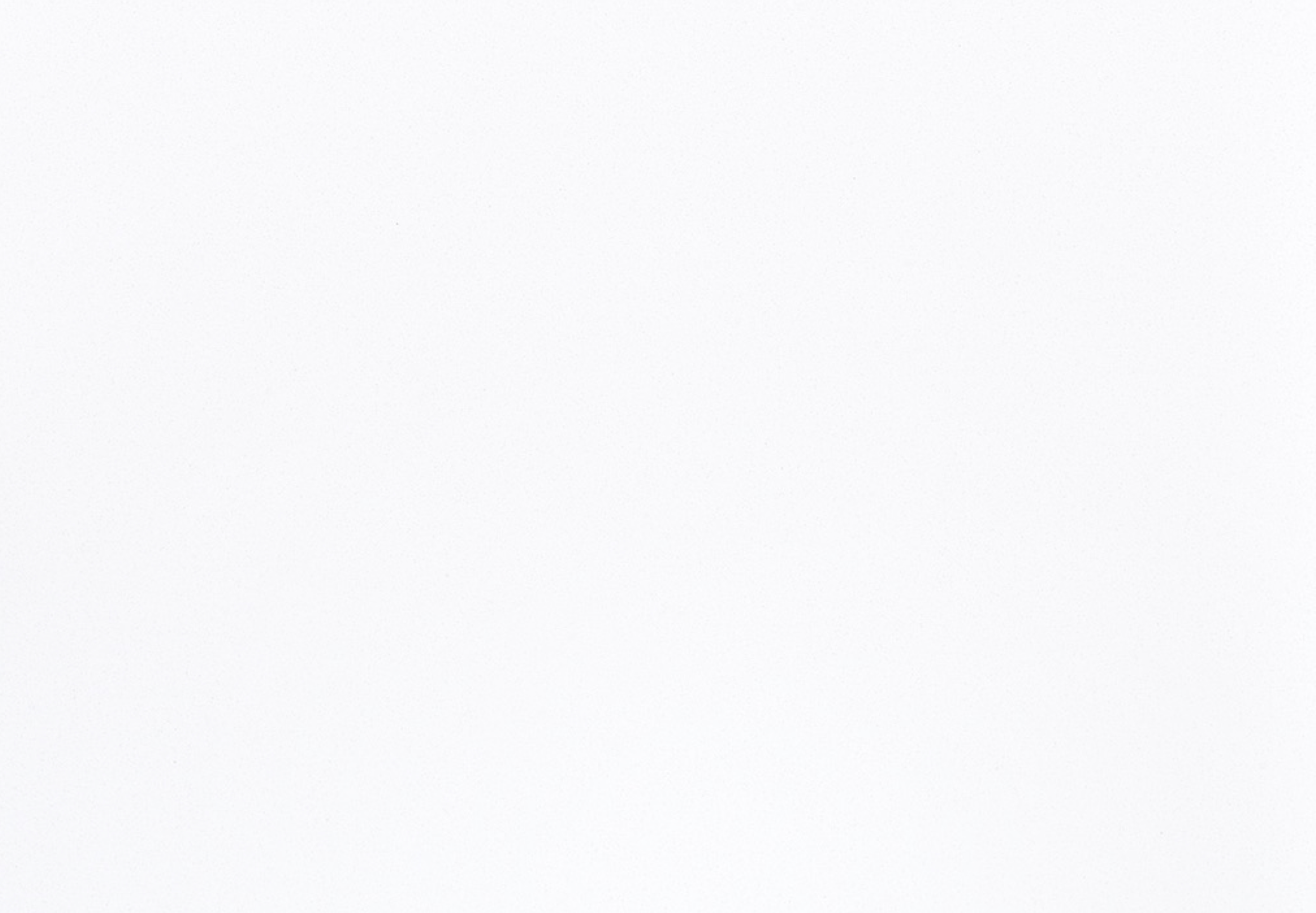 POLAR WHITE