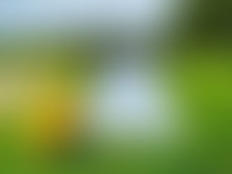 Le voile de la mariée se déplie…