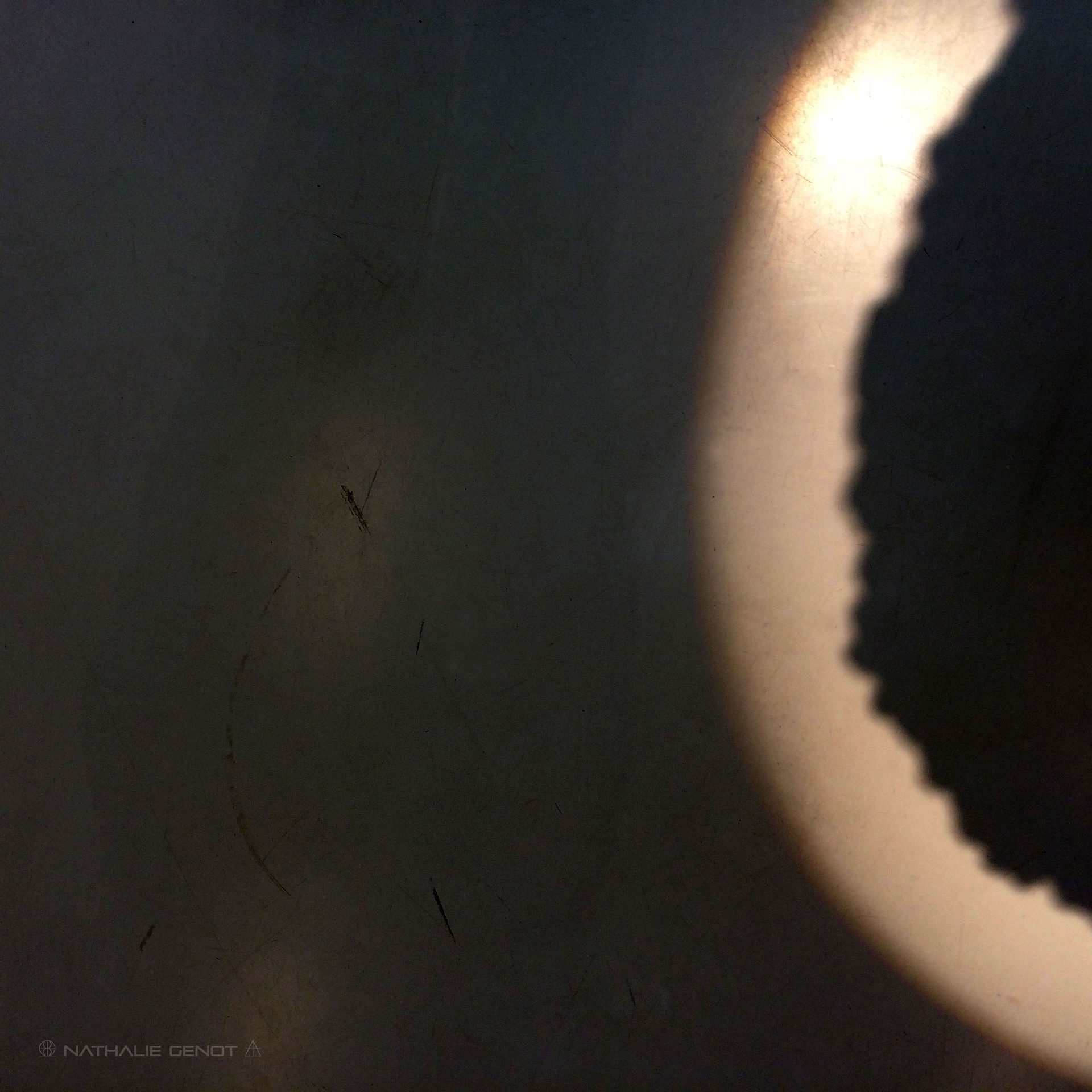 IMG_9399-web