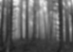 Untitled (21).jpg