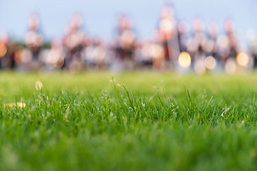 Details from a music, show and marching band. Defocused background with grass and evening
