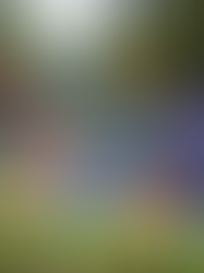 Certified & Reliable Play Equipment Supplier in Bangalore – Safe, Durable & Innovative