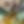 CogswellStudio.png