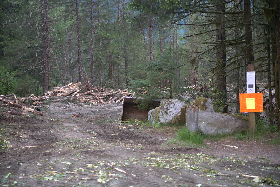 The Back Loop Bridge trail, seen on Friday, June 12, 2026, is closed for construction of a 1,100-foot berm to protect the roadway from flood waters. (Jasz Garrett / Juneau Independent)