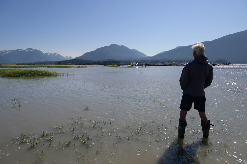Darin Fagerstrom views the stranded Alaska Seaplane while standing in the flooded Mendenhall River on the afternoon of Thursday, Aug. 13, 2026. (Jasz Garrett / Juneau Independent) 