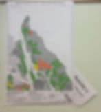 Potential management areas for the north Juneau Ranger District. Key: Pink, community use, green, old-growth, orange, high commercial recreation use; yellow, low commercial recreation use, blue, key fisheries watersheds. Maps are subject to change. (U.S. Forest Service)