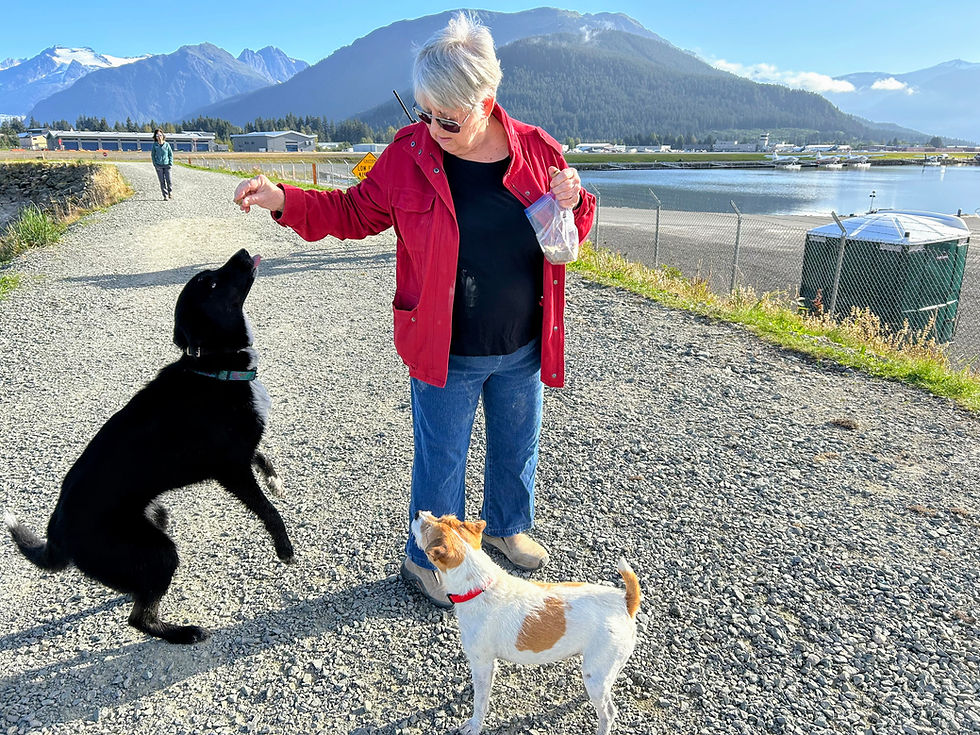 Patty Schied feeds dogs on the airport trail her homemade biscuits. (Photo courtesy of Patty Schied)