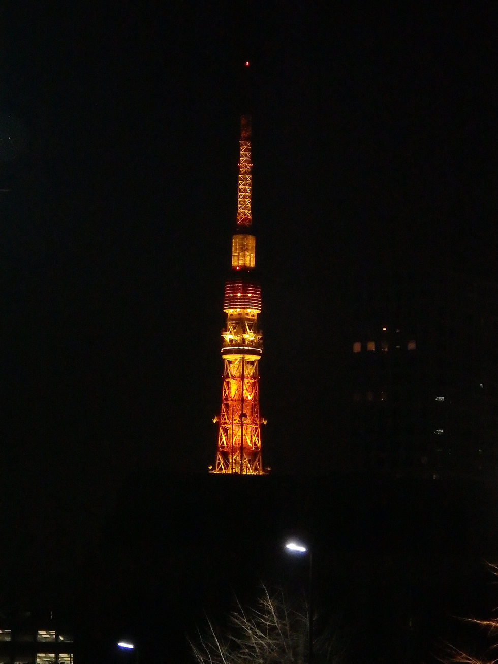 P3282166.JPG