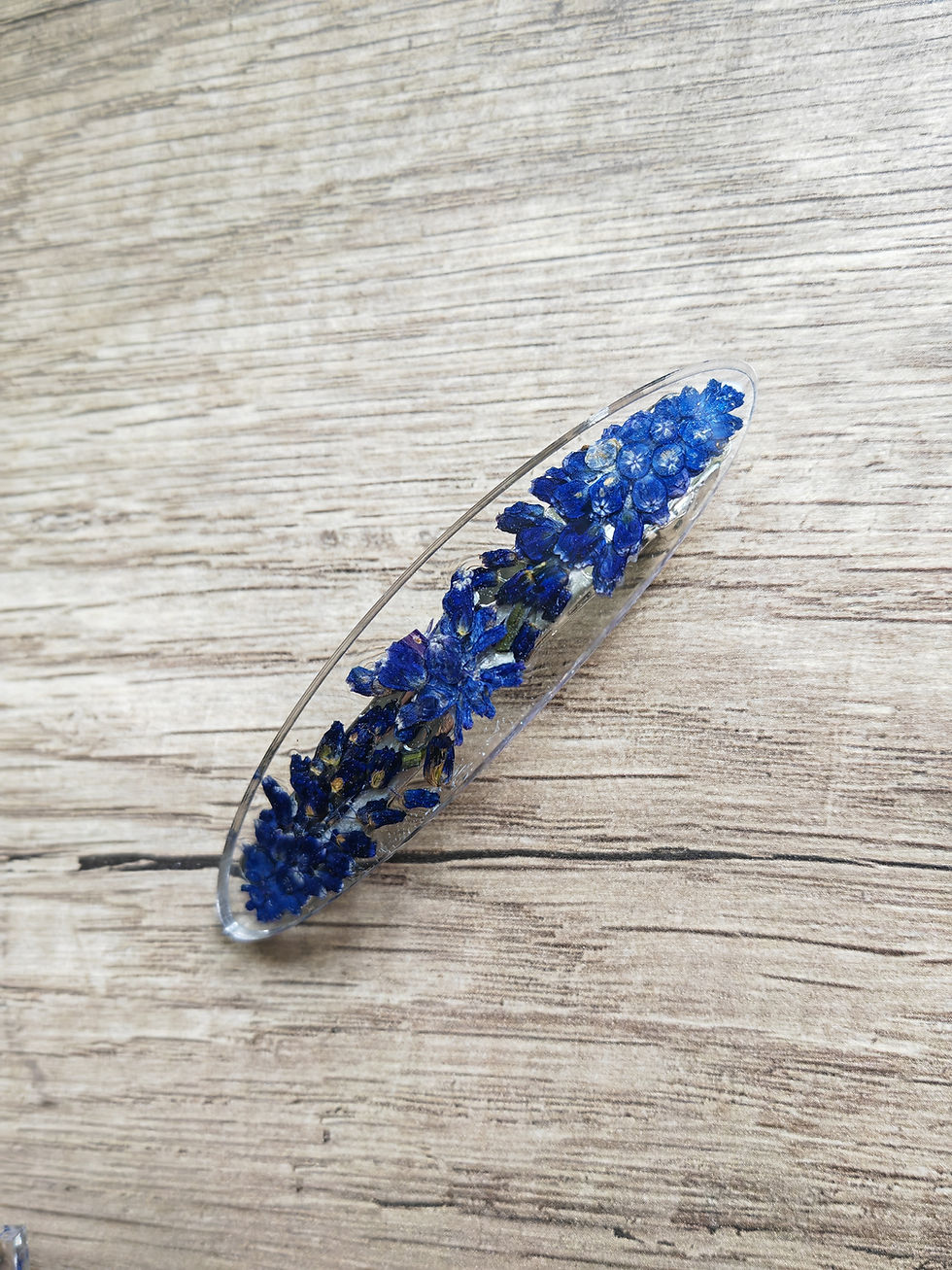 Miniature : Barrette "Musca"