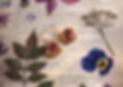 13159836-CA8A-4A39-AACB-8EC03CA1CE66_edited.jpg