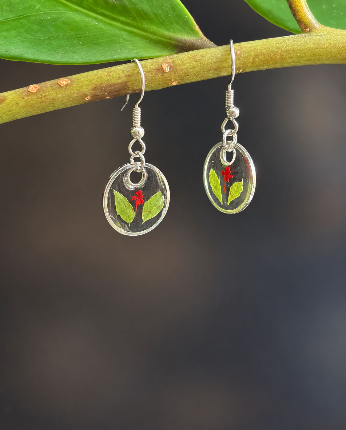 Boucles d'oreilles " Rouge des prés sauvage"