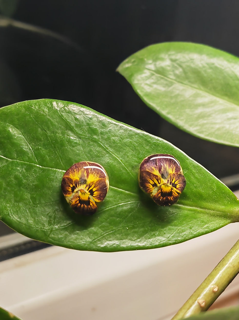 Miniature : Boucles d'oreilles " Puce asymétrique"