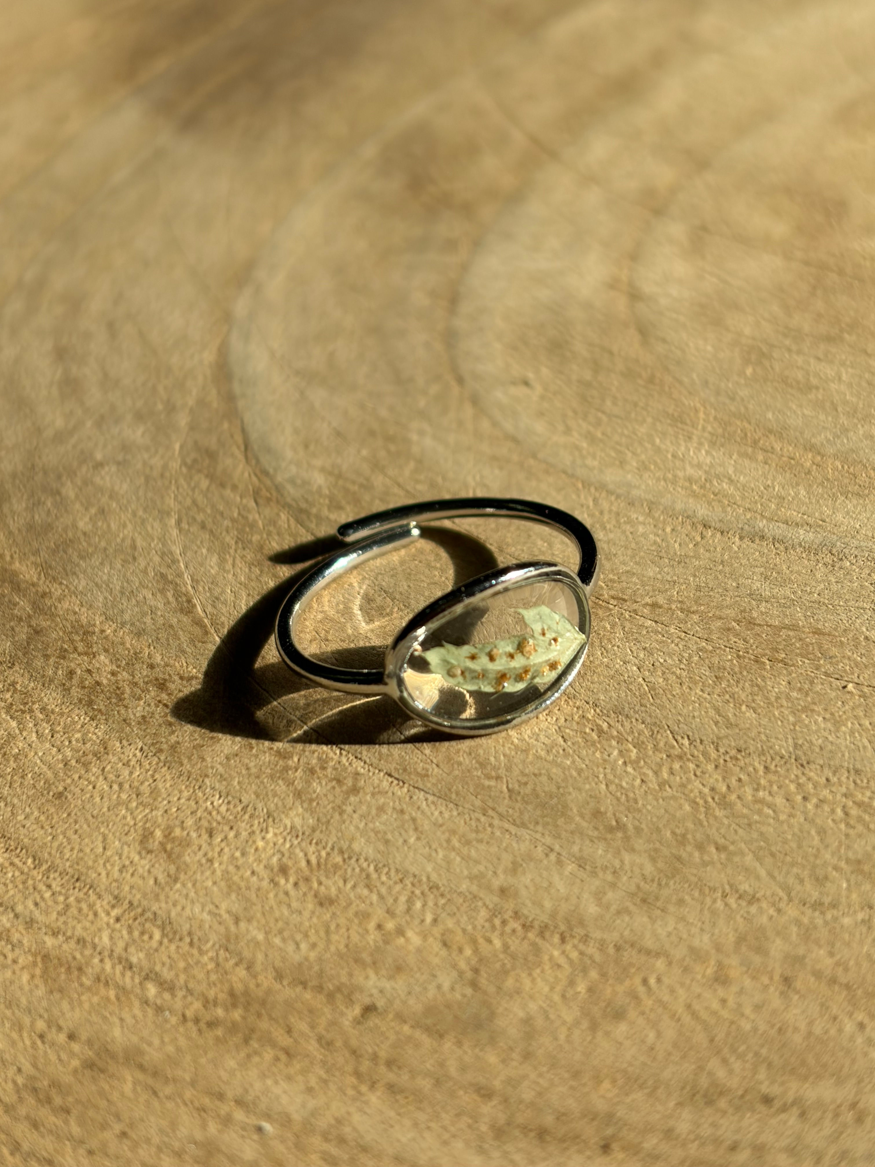 Bague "Naissance d'une fougère"