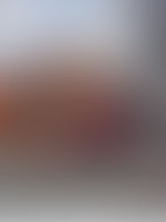 Webcor Set to Begin Demolition in Jan. of 2022