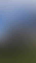 Anschließender Umtrunk