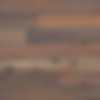 7345.JPG