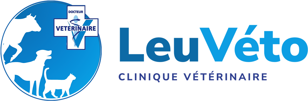 leuveto-devanture-horizontal-couleur.png