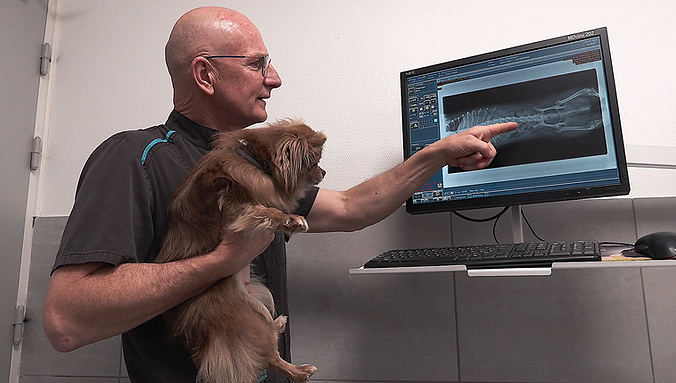 Capture d'écran 2026-01-26 184746.png