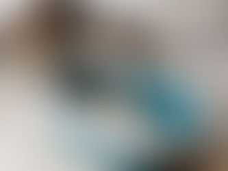 un chat dans sa litière