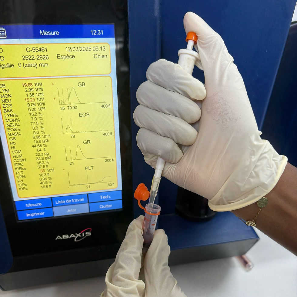 Analyses biologiques