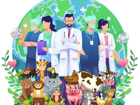 acteurs de la santé humaine et animale, animaux de compagnie, de rente et sauvages, environnement végétal