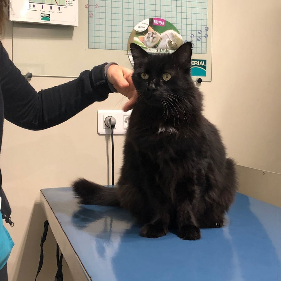 Médecine générale