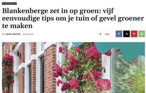 Blankenberge zet in op groen: vijf eenvoudige tips om je tuin of gevel groener te maken